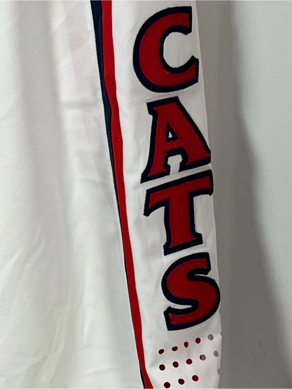 Nike White Red and Navy Arizona Wildcats Basketball Shorts - Picture 3 of 7